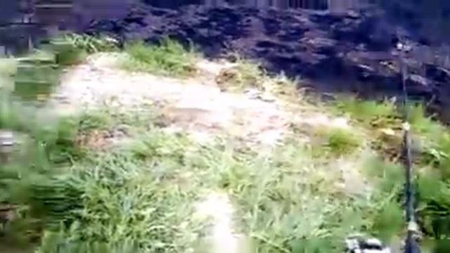 Как ловить карася на пробку - урок Профессора смотреть онлайн