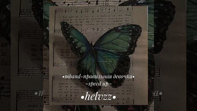 •mband-правильная девочка• ~speed up~ смотреть онлайн
