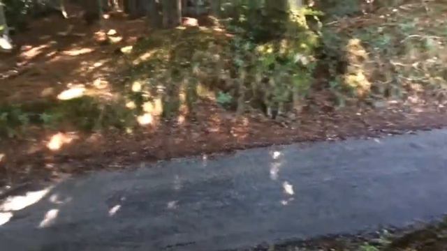 Rally De La Chartreuse 2017 смотреть онлайн