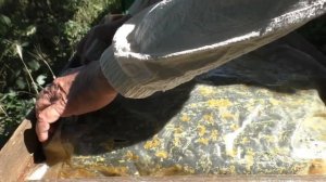 ПОДКОРМКА ПЧЕЛ сахарным сиропом с полынью. Семья осталась без меда.