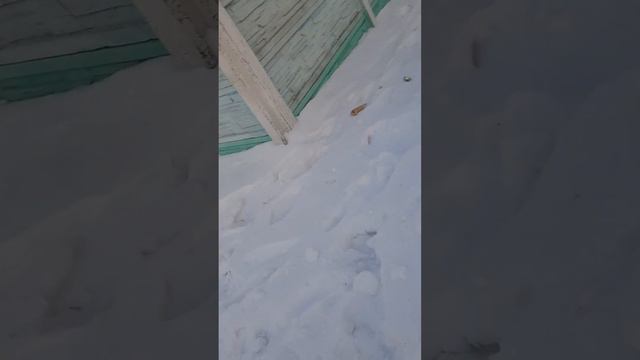 а это я шла из художки смотреть онлайн