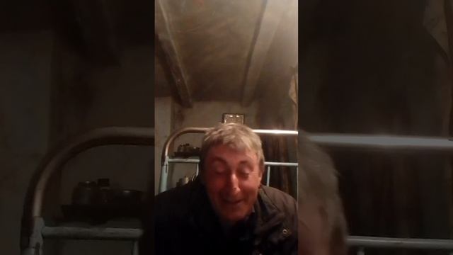 стих г Емельяна в прошлом все остались розы смотреть онлайн