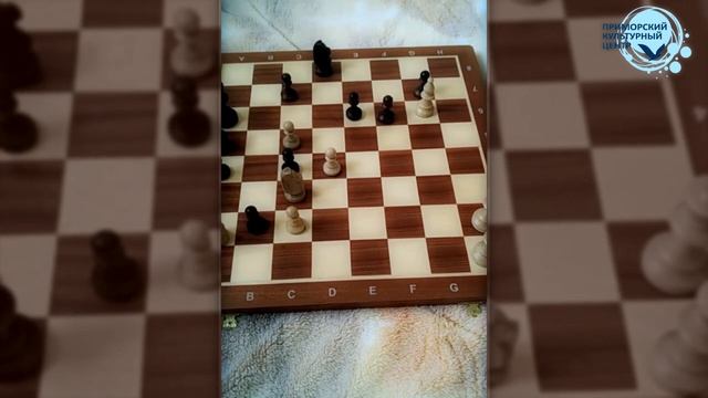 Мастер-класс по шахматам | Шахматная задача Петрова смотреть онлайн