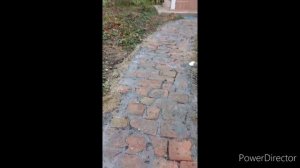 Садовая дорожка из старого красного кирпича ))