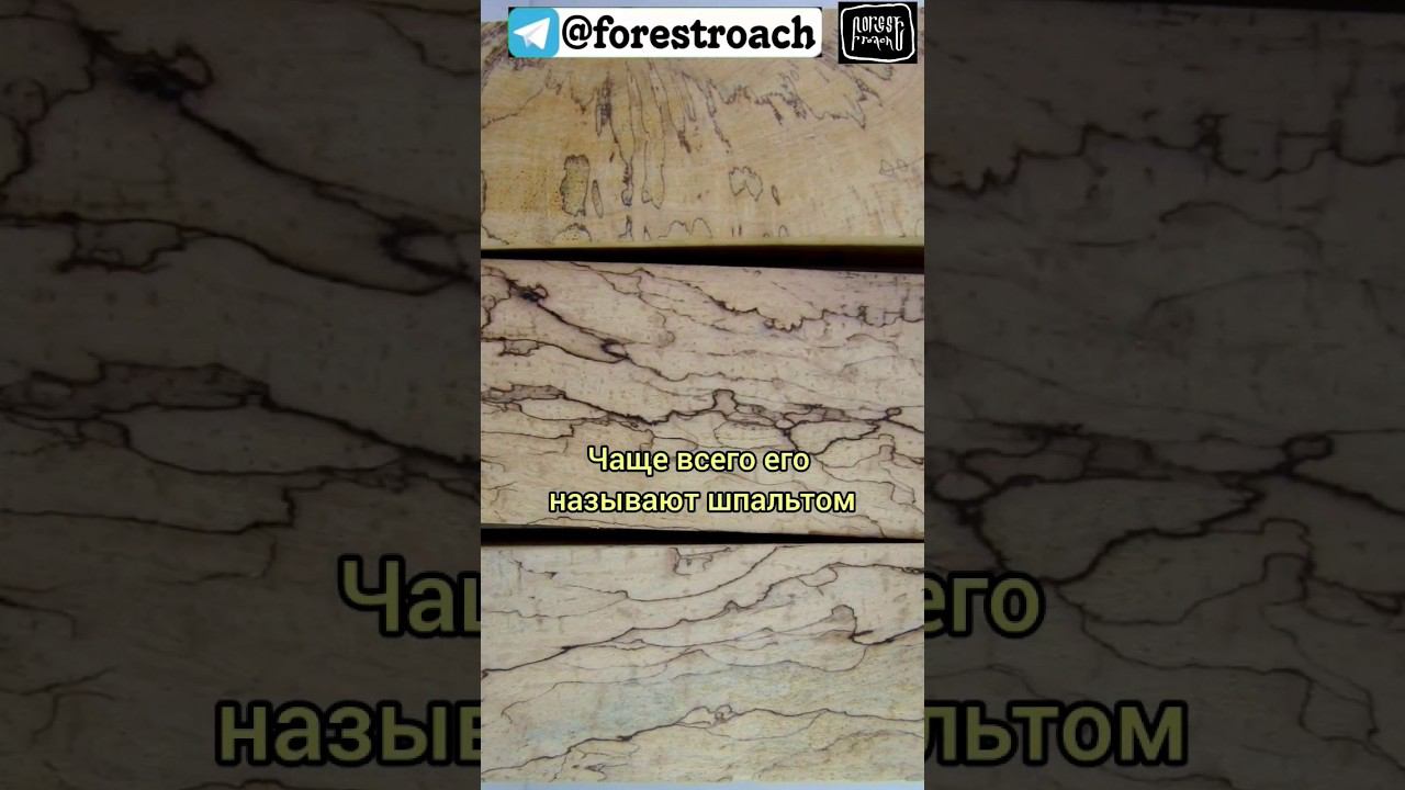 ЧТО ТАКОЕ ШПАЛЬТ? #выживание #бушкрафт #bushcraft #survival #forest #ковка #нож #самоделки смотреть онлайн