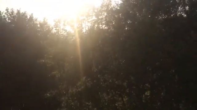 Рыбалка хутор Новоисправненское смотреть онлайн