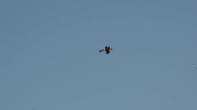 UFO Video HD (9) смотреть онлайн