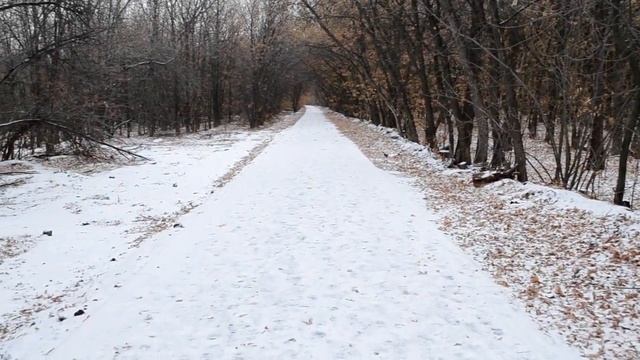 Как благоустроили лесополосу на Березке в Оренбурге смотреть онлайн