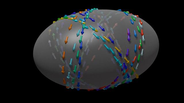 Beauty Of Geodesics