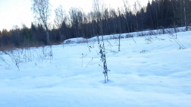 Отдых в Карелии прогулка на снегоходе. смотреть онлайн