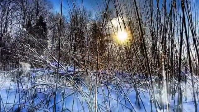 Екатерина Шаврина - Снегирь на рябине смотреть онлайн