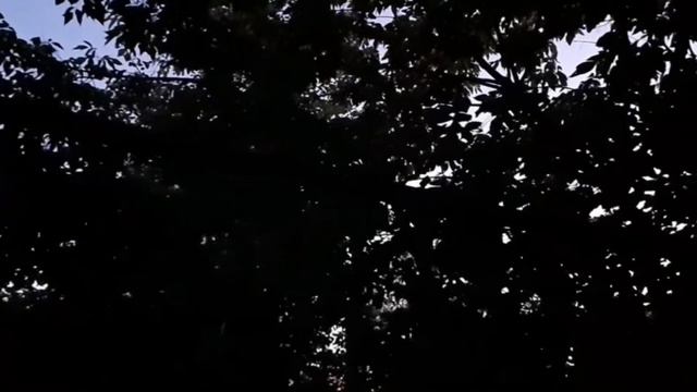 Время - удивительная штука... | Aesthetic 🌼|