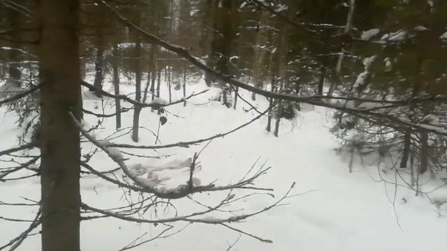 14 января 2023 г.7й день проверки путиков смотреть онлайн