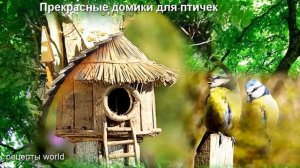 сказочные домики для птичек - скворечники необычные и оригинальные