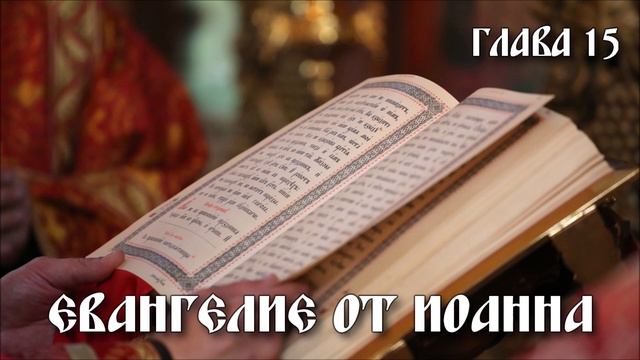 Евангелие от Иоанна 15 глава смотреть онлайн