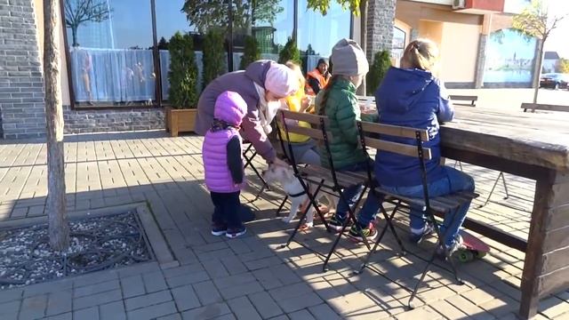 Марфа учится кататься на 3-х колёсном самокате 05.11.17г. смотреть онлайн