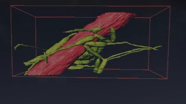 ALERT! This ZOMBIE FUNGUS is Taking Over the World | Why Are Scientists Worried? смотреть онлайн