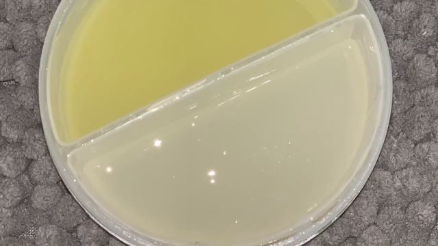 PRODUCT REVIEW | TheManeChoice Proceed with Caution Collection смотреть онлайн