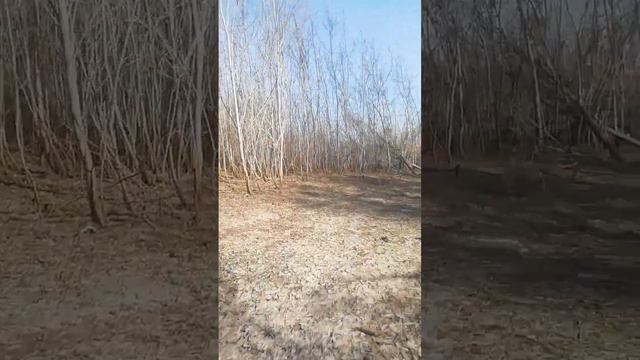 КАК ВЫГЛЯДИТ ВСЯ ТЕРРИТОРИЯ #деревня #обзор #рек смотреть онлайн