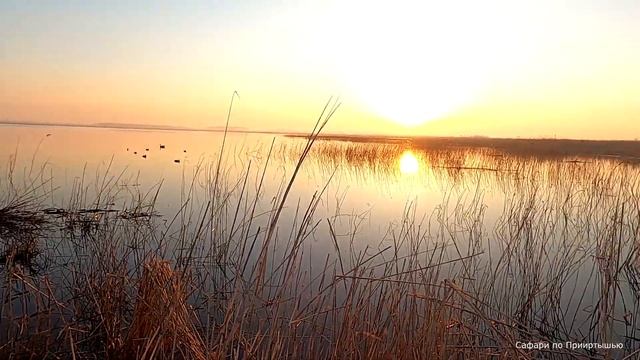 Классическая весенняя охота, с АТА НЕО 12 смотреть онлайн