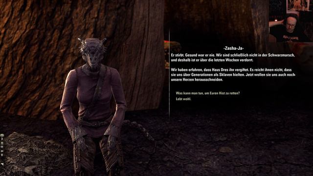 ESO #48 Die Geschichte von Celine Herzblut Tempel von Ebenherz + die Argonier brauchen Hilfe deutsc смотреть онлайн