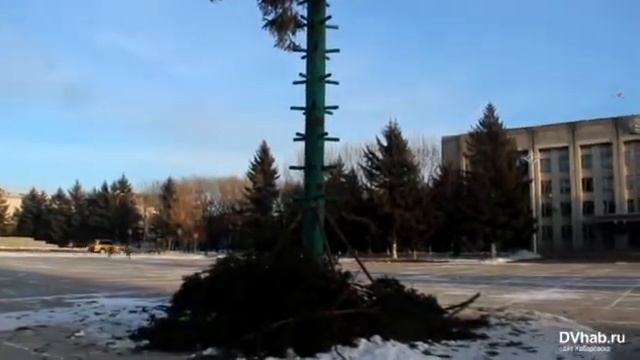 На биробиджанской площади Ленина установили новогоднюю елку смотреть онлайн