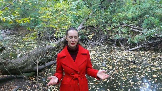 Где-то. Стихи Аллы Сигарёвой. смотреть онлайн