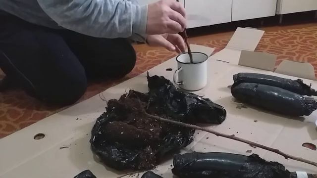 Получили посылку от Фирмы БЕККЕР .Республика Беларусь смотреть онлайн