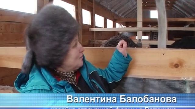 Воткинские страусы смотреть онлайн
