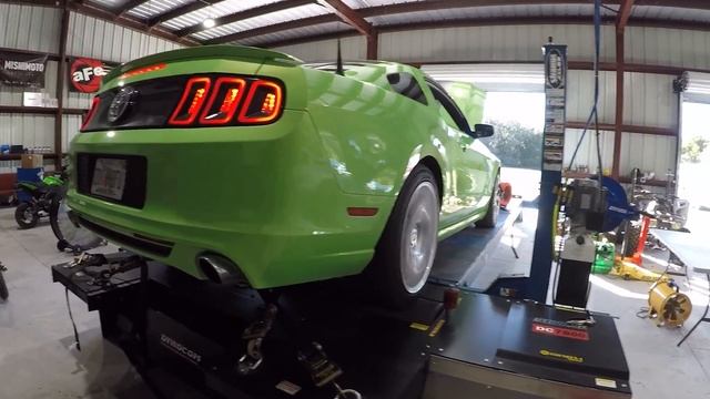 Got to Have it Green 3.7L V6 Mustang on the DYNO getting #MafiaTuned смотреть онлайн