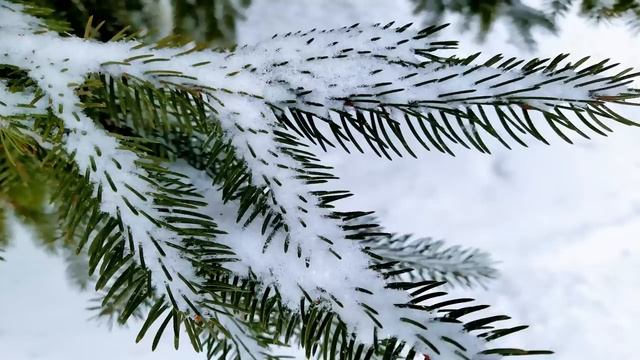 27 февраля.КИРИЛЛОВ ДЕНЬ. Весноуказчик.Народные приметы смотреть онлайн