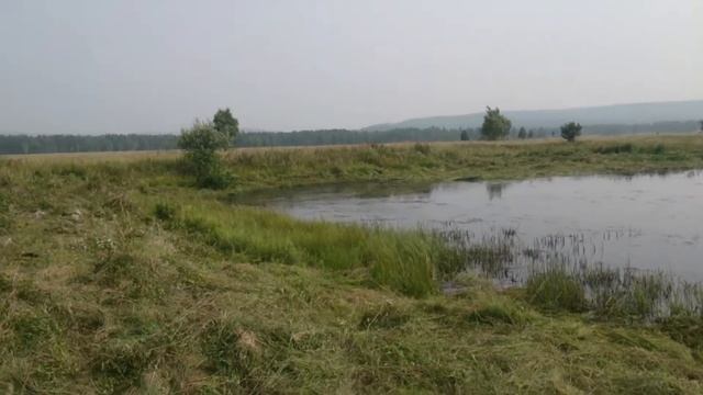 Выкашиваем озеро под охоту на уток смотреть онлайн