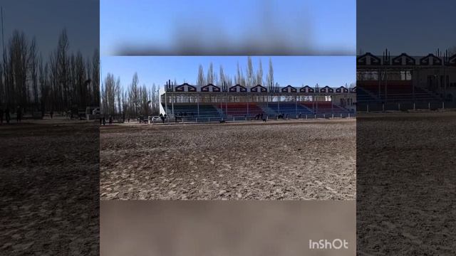 Таласс область Кыргыз Тайганы Тайгандар жарышы чырга смотреть онлайн