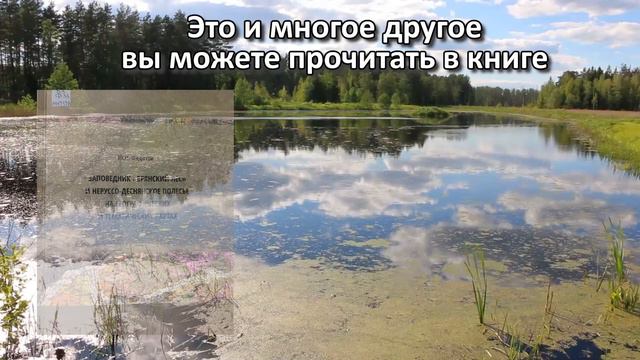 Буктрейлер по книге Ю.П. Федотова "Заповедник "Брянский лес" смотреть онлайн