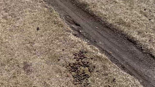 Канада - большое путешествие. Canmore - Banff