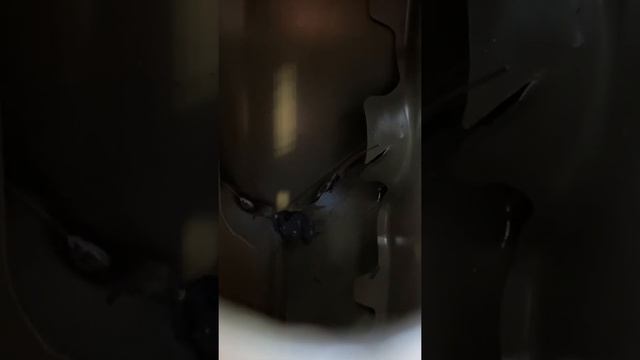 2020 Ford transit damage смотреть онлайн