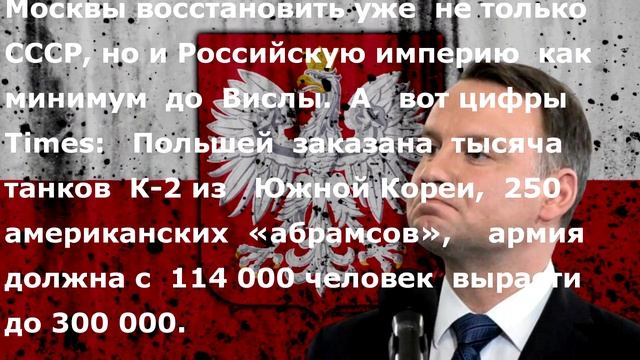 ЭТО ДОБРОМ НЕ КОНЧИТСЯ! ПОЛЬША ЛЕЗЕТ В ДРАКУ смотреть онлайн