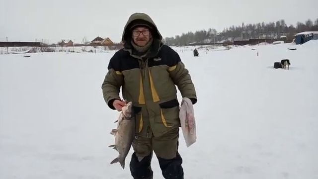 Стрелецкий Ручей 30/01/2019- 2 смотреть онлайн