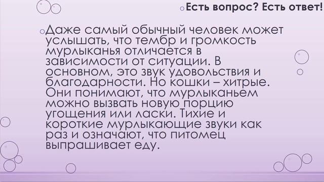 Почему кошки мурлыкают? [13] смотреть онлайн