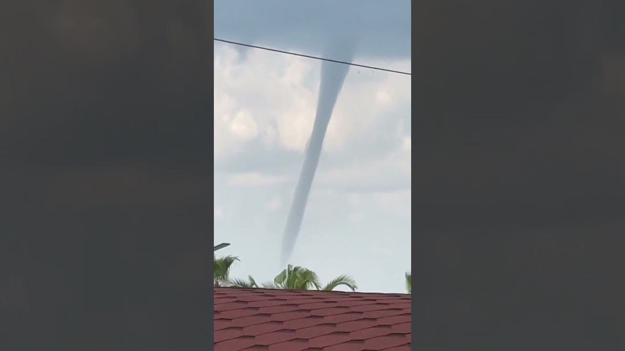 Никогда не видела такого… смотреть онлайн