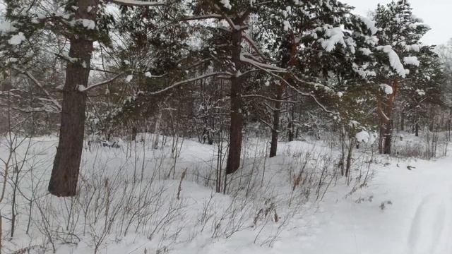 катнул по знакомым местам из детства; 26.12.21 смотреть онлайн