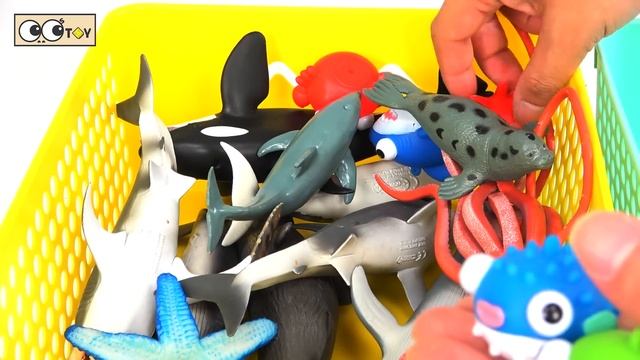 Let's have a party for whale shark and sea animals, crab, squid, animal cartoons for kidsㅣCoCosToy смотреть онлайн