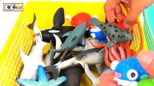 Let's have a party for whale shark and sea animals, crab, squid, animal cartoons for kidsㅣCoCosToy