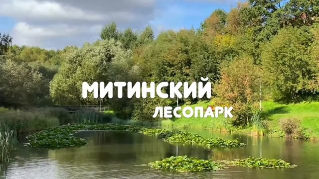 Обзор новостроек uHome: ЖК "Пятницкие Луга" от ГК Самолет смотреть онлайн