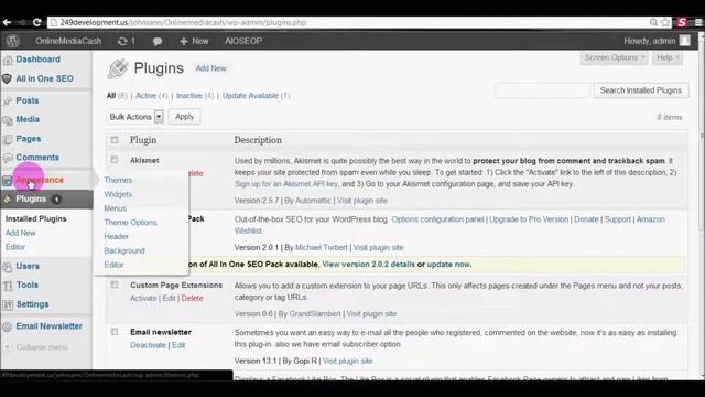 BestWebsitesDesigner.com explaining how to integrate email newsletter plugin in WordPress смотреть онлайн