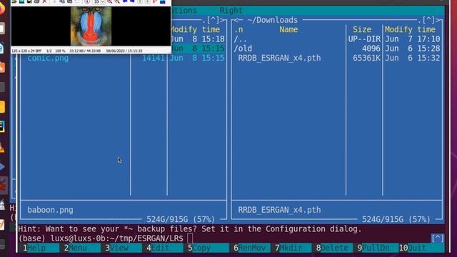 Upscale images with Python/ESRGAN смотреть онлайн