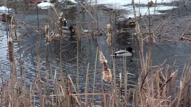 Без названия смотреть онлайн