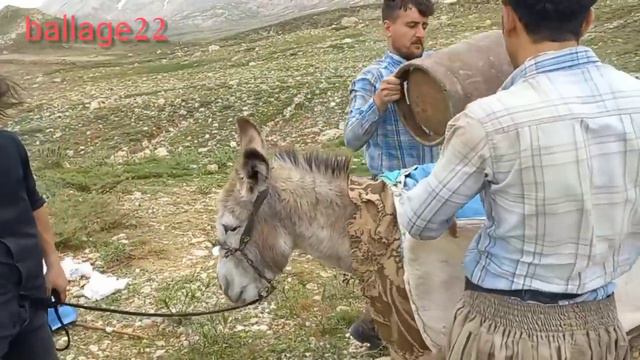 A Difficult Migration For A Nomadic Family.  Summer Migration Of Nomads In The Mountains.