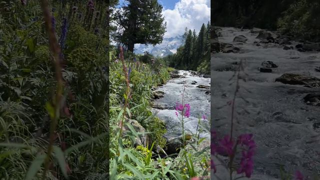 Река Поперечная, Горный Алтай #горныйалтай #россия #altay #russia #сибирь #travel #алтай #nature смотреть онлайн