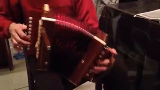 Cajun beltuna accordeon смотреть онлайн